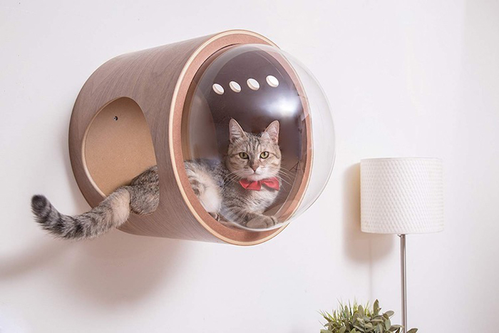 Bubble Window Cat Beds Look Like Mini 