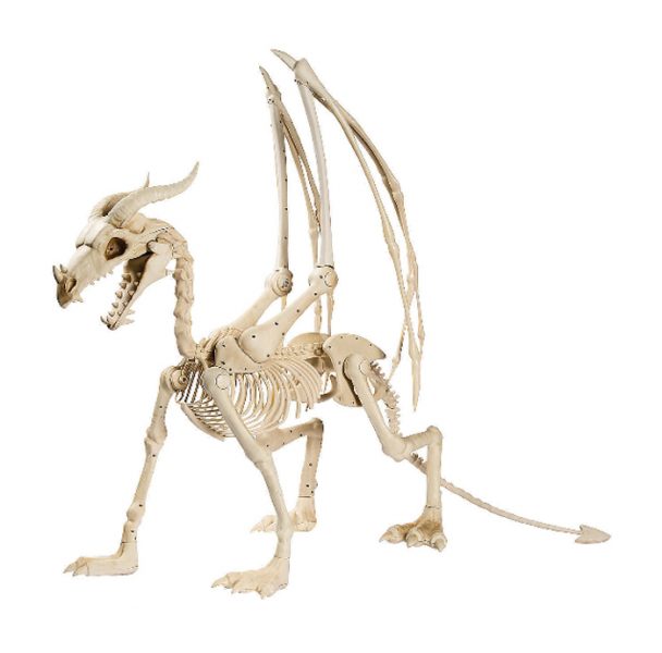 Up Your Creepy Game This Halloween With These Unicorn And Dragon Skeletons