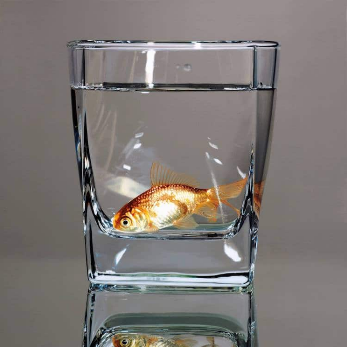 fish in water glass young sung kim hyperrealism