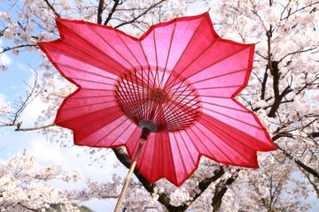 Celebrate Japan’s Cherry Blossom Season With These Elegantly Designed ...