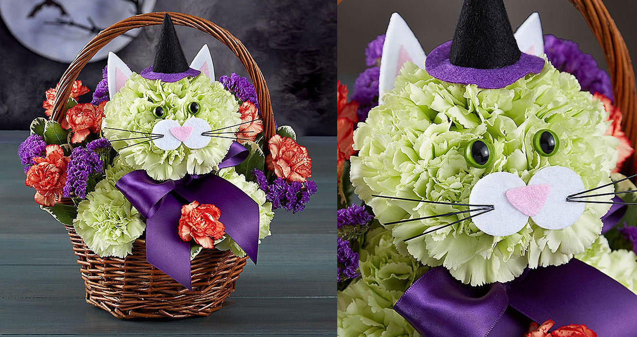 You Can Now Send Your Cat-Loving Friend A Cat-Shaped Bouquet For Halloween