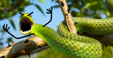 Snake Pics Are Getting A Doodle Makeover And The Results Are Beyond Funny