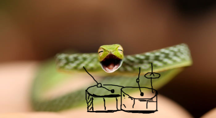 Drawing Doodle Arms On Snakes Is Hilarious