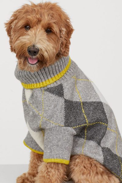 H&M Are Selling Matching Dog And Owner Jumpers In Time For Christmas ...