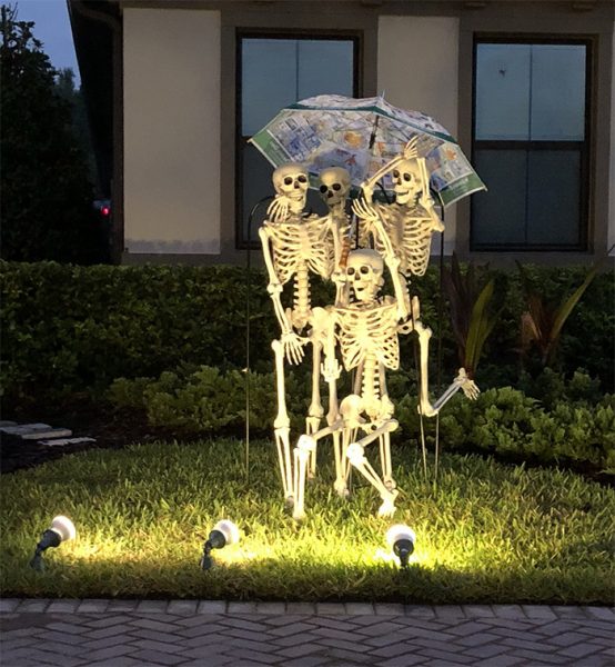 skeleton for halloween