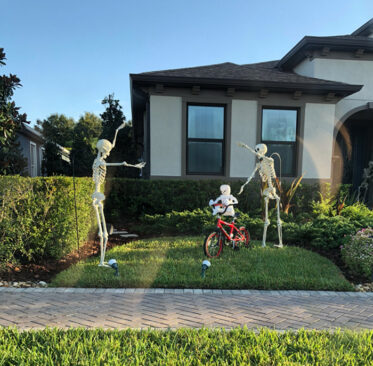 Sami Noticed Her Neighbor’s Halloween Skeletons Were Acting Out A New ...