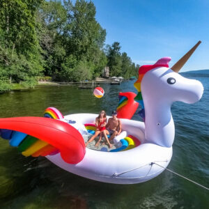 sun pleasure unicorn