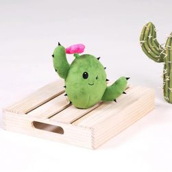 cactus barkbox toy