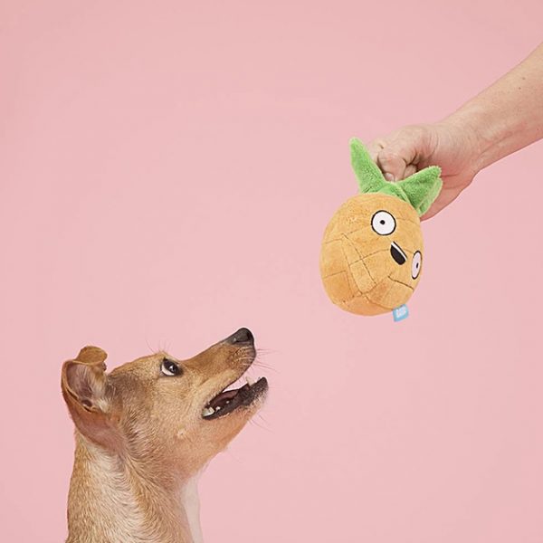 barkbox-2-in-1-plush-toys-are-perfect-for-dogs-that-destroy-soft-toys