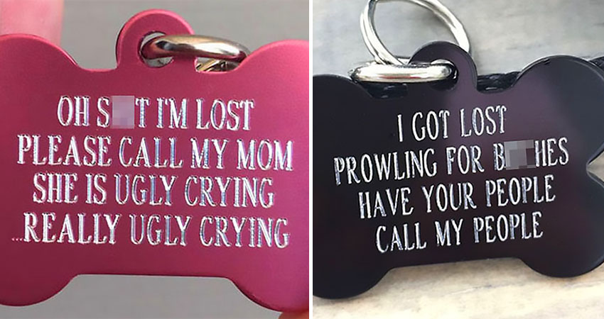 Dog Tags are Always Useful and Sometimes Hilarious (13 Pics) » TwistedSifter