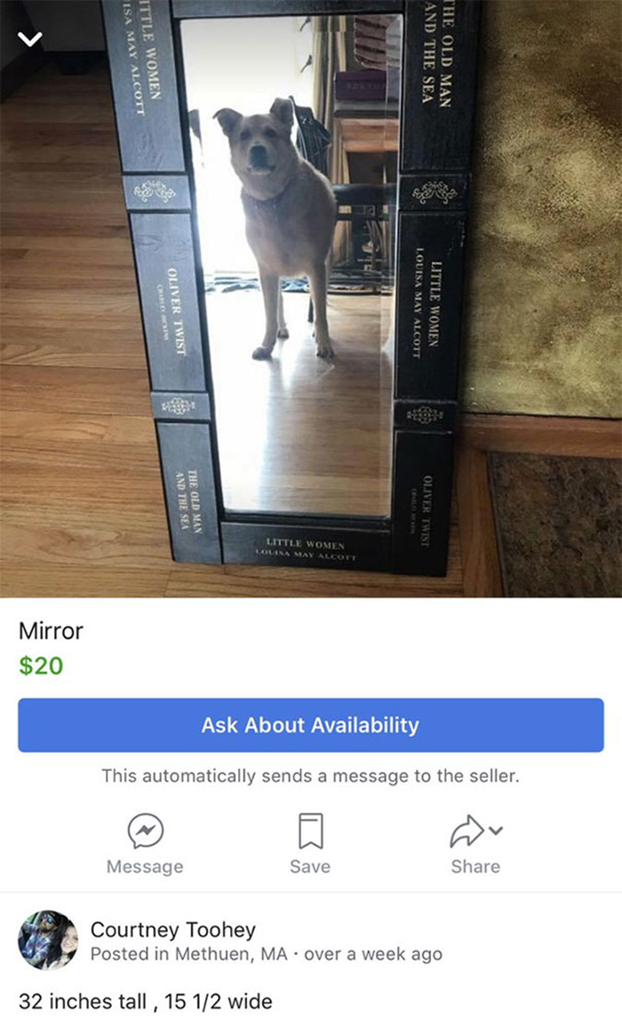 people-trying-to-sell-mirrors-dog-reflection.jpg
