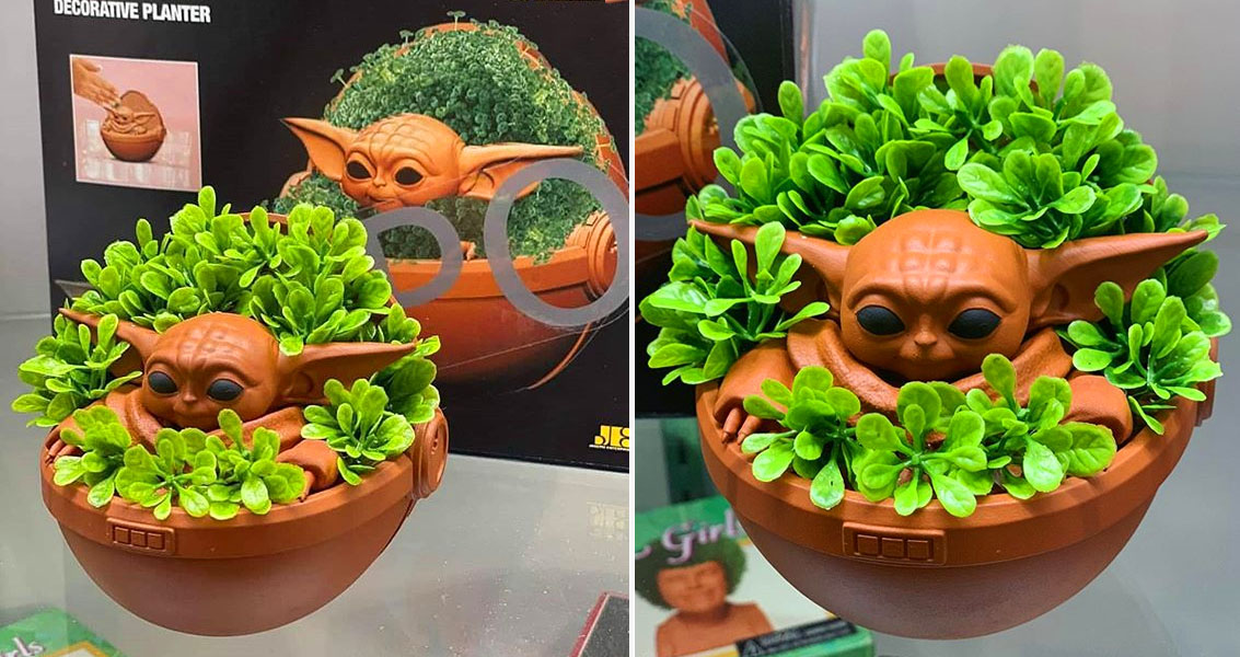 Star Wars The Mandalorian The Child Baby Yoda Chia Pet Decorative Planter -  Pots & Planters, Facebook Marketplace