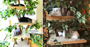 You Can Get Your Indoor Cat A Treehouse Made With Real Trees So They ...