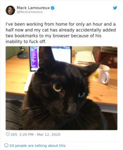 40 People Share Photos Of What It's Like Working From Home With Pets