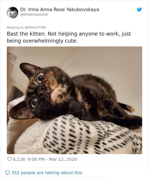 40 People Share Photos Of What It's Like Working From Home With Pets