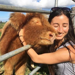 26 Adorable Cow Photos That Prove They're Just Big Softies