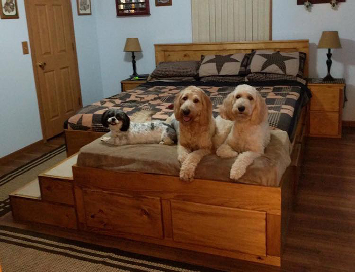 dog bed for end of bed