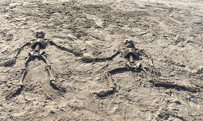https://www.awesomeinventions.com/wp-content/uploads/2020/07/bag-o-bones-beach-skeleton-sand-molds.jpg