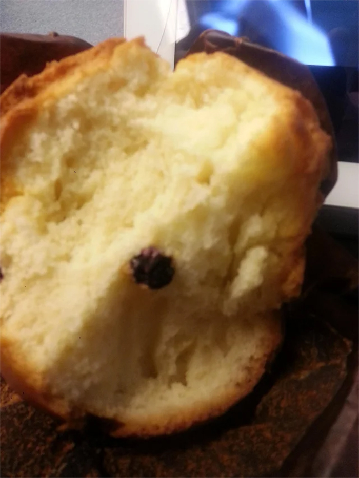 blueberry muffin food fail
