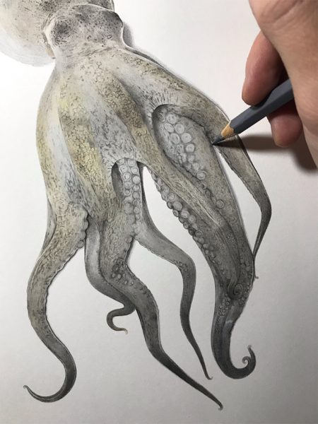 Japanese Artist Illustrates Step-By-Step Process On Drawing A Realistic ...