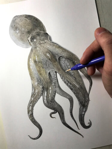 Japanese Artist Illustrates Step-By-Step Process On Drawing A Realistic ...