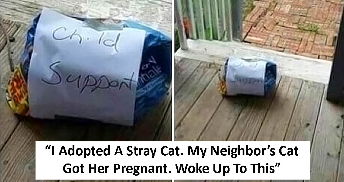 50 Funny Neighbors Who Made The Neighborhood A Little Less Dull