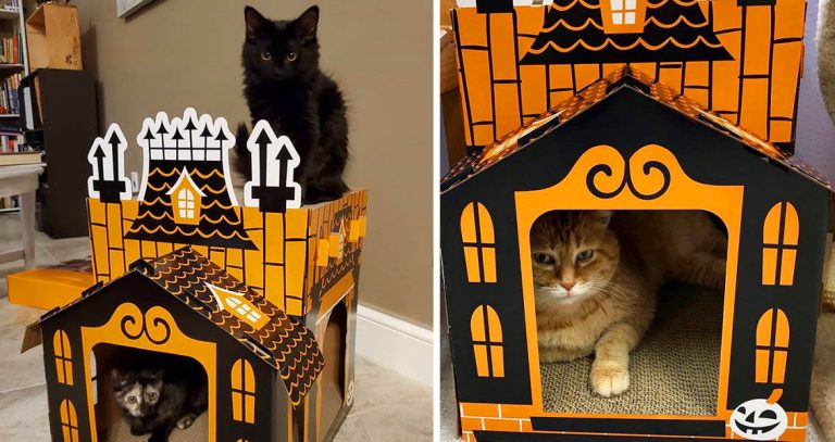 Target Has Haunted Cat Houses That Make For The Purrrfect Halloween Hideout