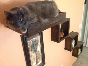 These Floating Cat Stairs Provide A Stylish Route To Their Floating Cat ...