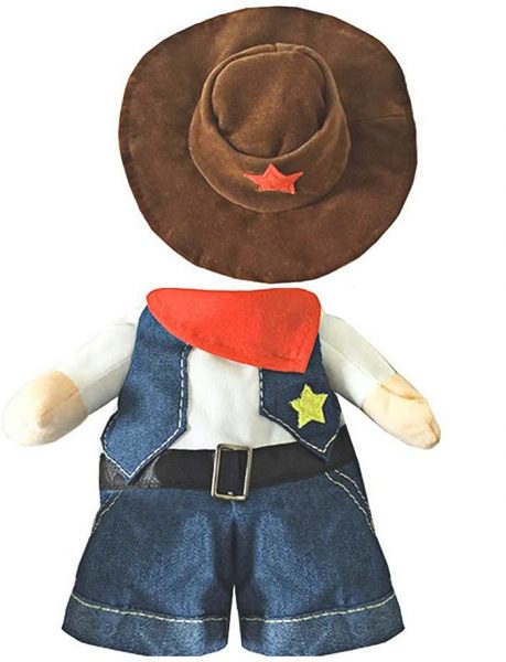 This Cowboy Cat Costume Turns Your Kitty Into The Cutest Gunslinger In ...