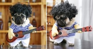 This Guitarist Dog Costume Will Bring Out Your Pet's Inner Rock Star