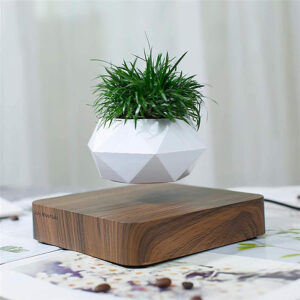 This Levitating Planter Allows You To Grow Your Favorite Plant In Mid-Air