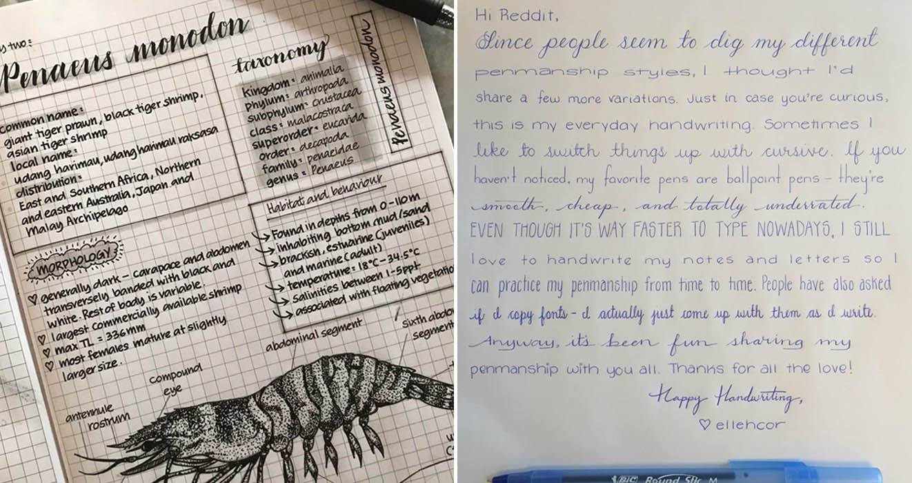 People Showcasing Their Beautiful Handwriting That Will Please Your  Inner-Perfectionist