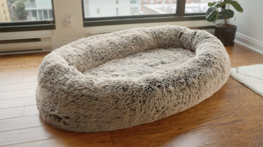 dog sofa bed for humans        
        <figure class=